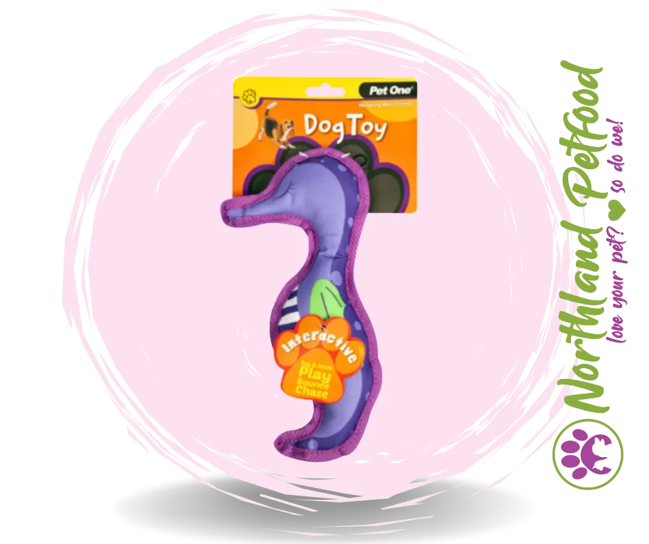 25CM Interactive Purple Squeaky Seahorse Dog Toy