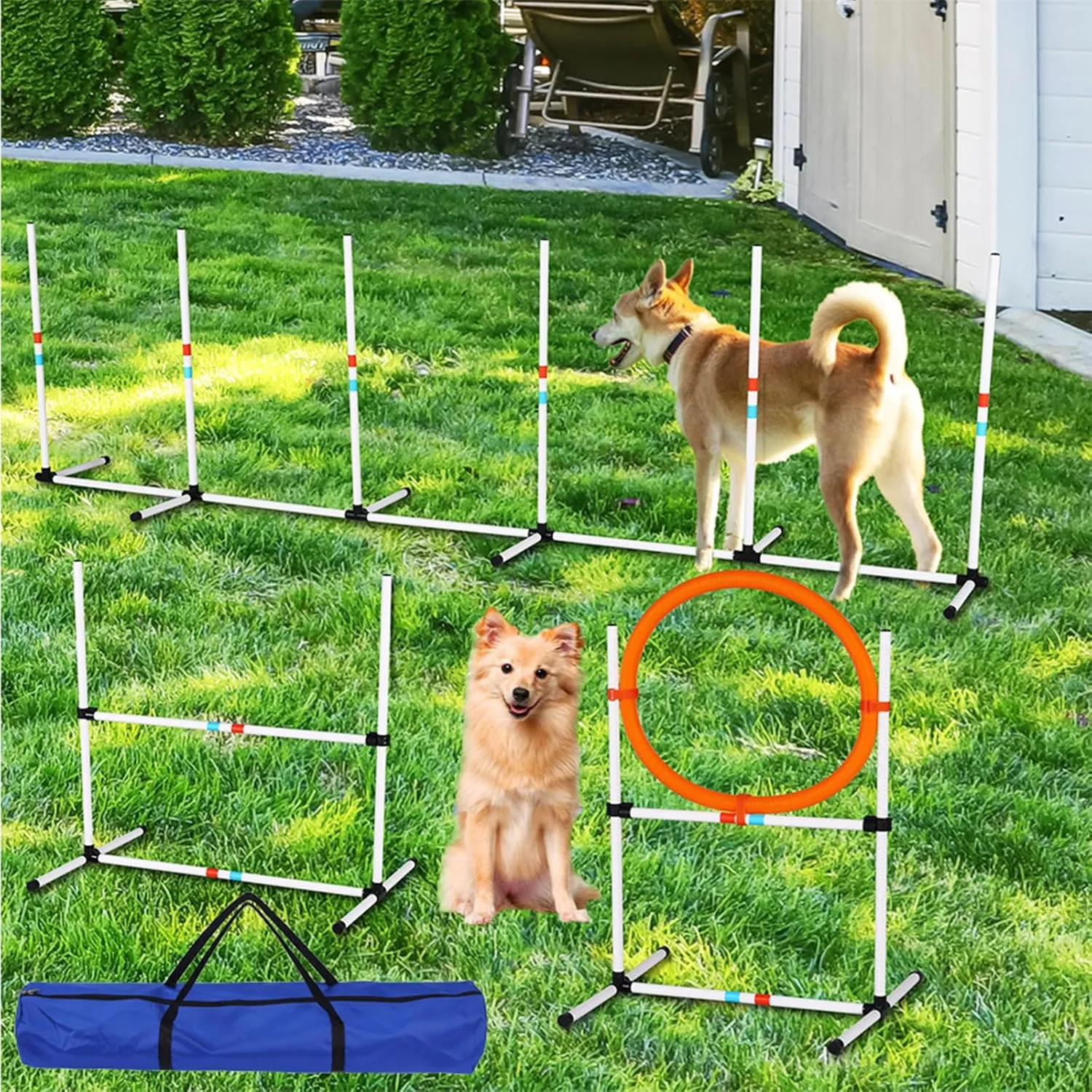 3 Pack Dog Agility Jumps with Carry Bag, Adjustable Height Dog Jumping Hurdles for Indoor & Outdoor Training, Sturdy & Portable Dog Agility Course Equipment (3 Pack)