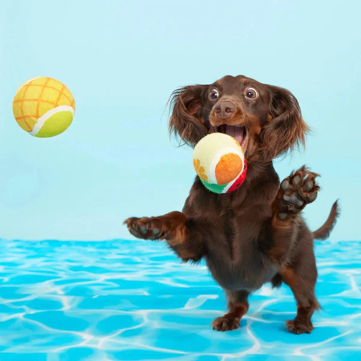 BARK Fetch Fruit Dog Fetch Toy