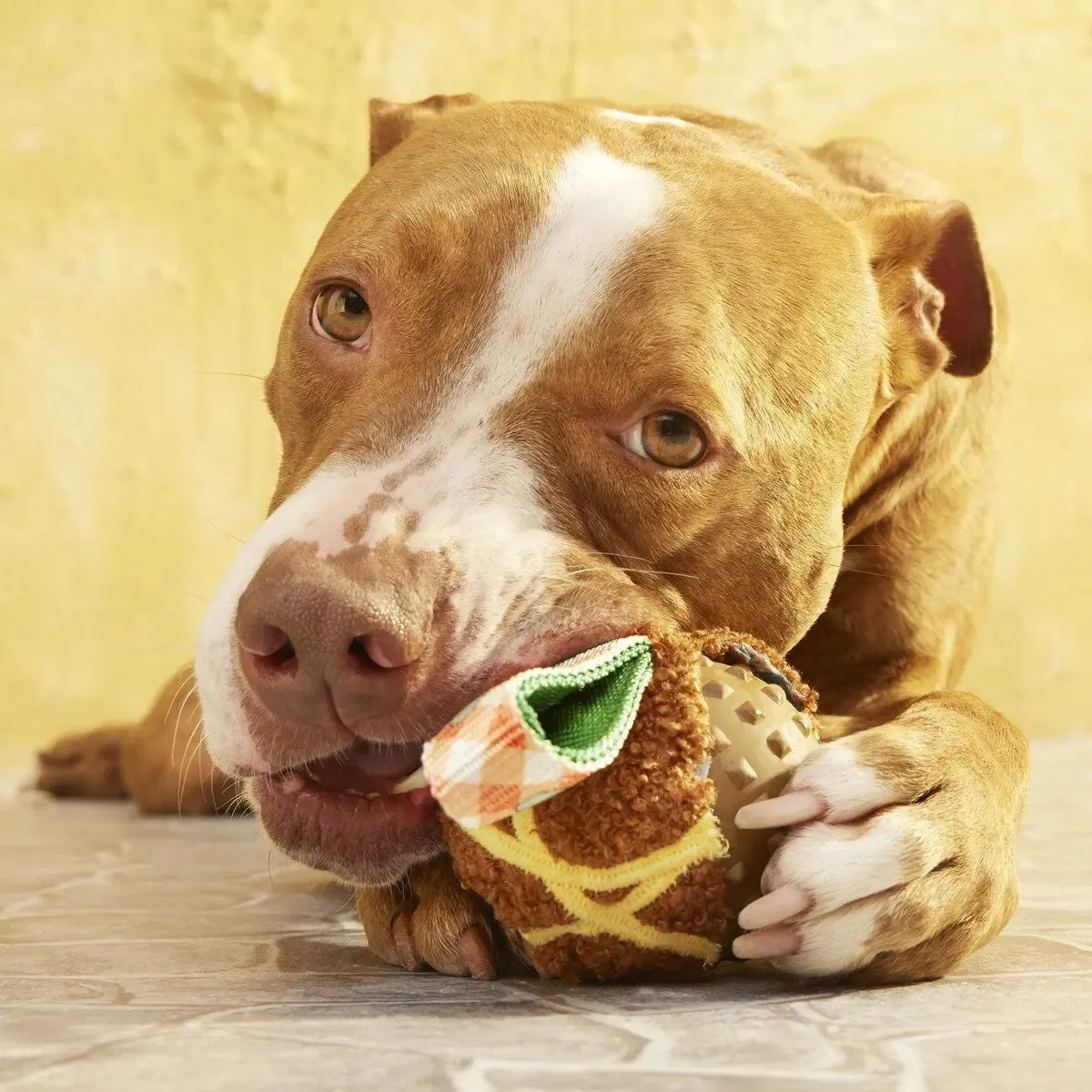 BARK Super Chewer A Squeaky Meat-A-Ball Dog Chew Toy