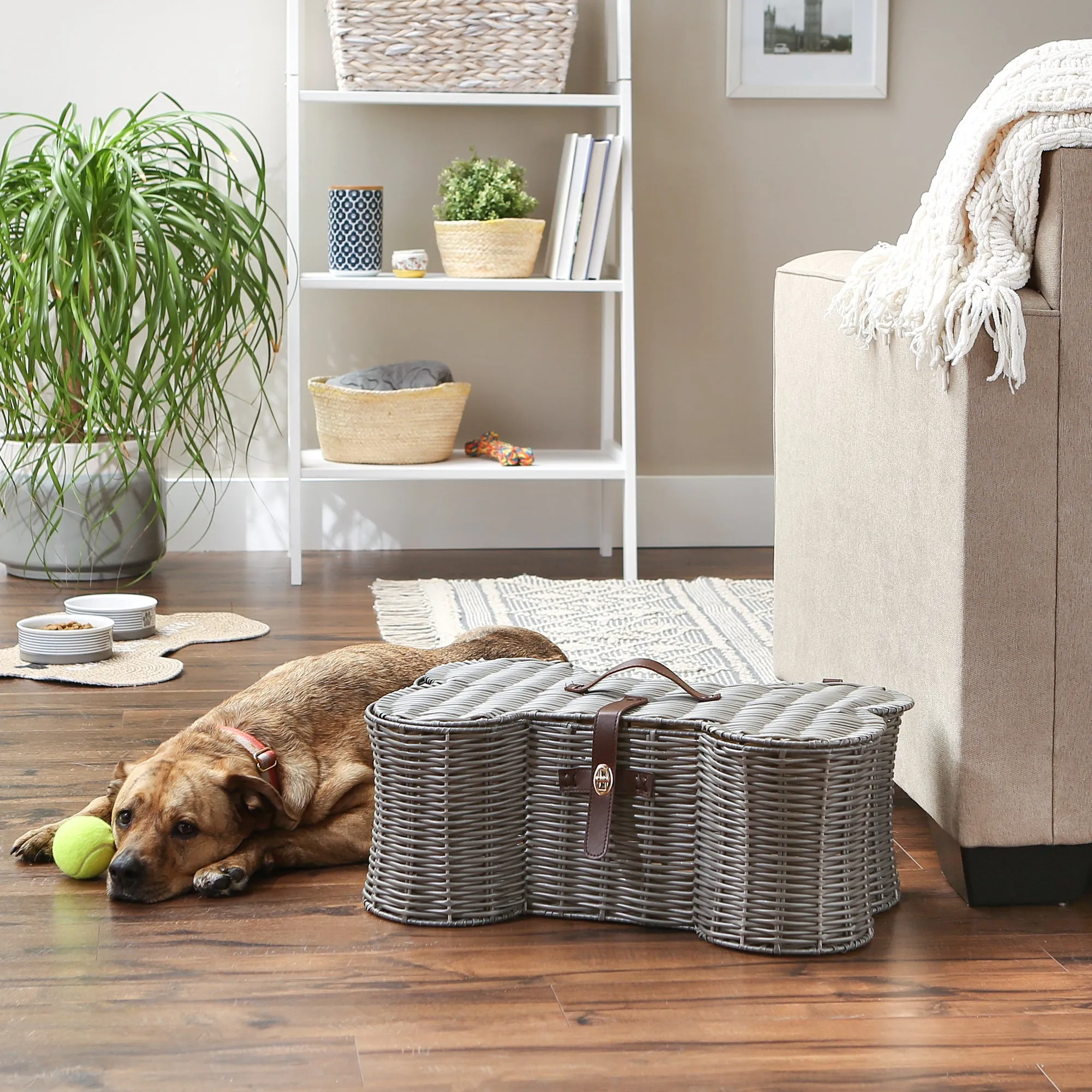 Bone Dry Pet Toy Storage Basket, Bone Shaped, Gray, Medium - 21x13x8"