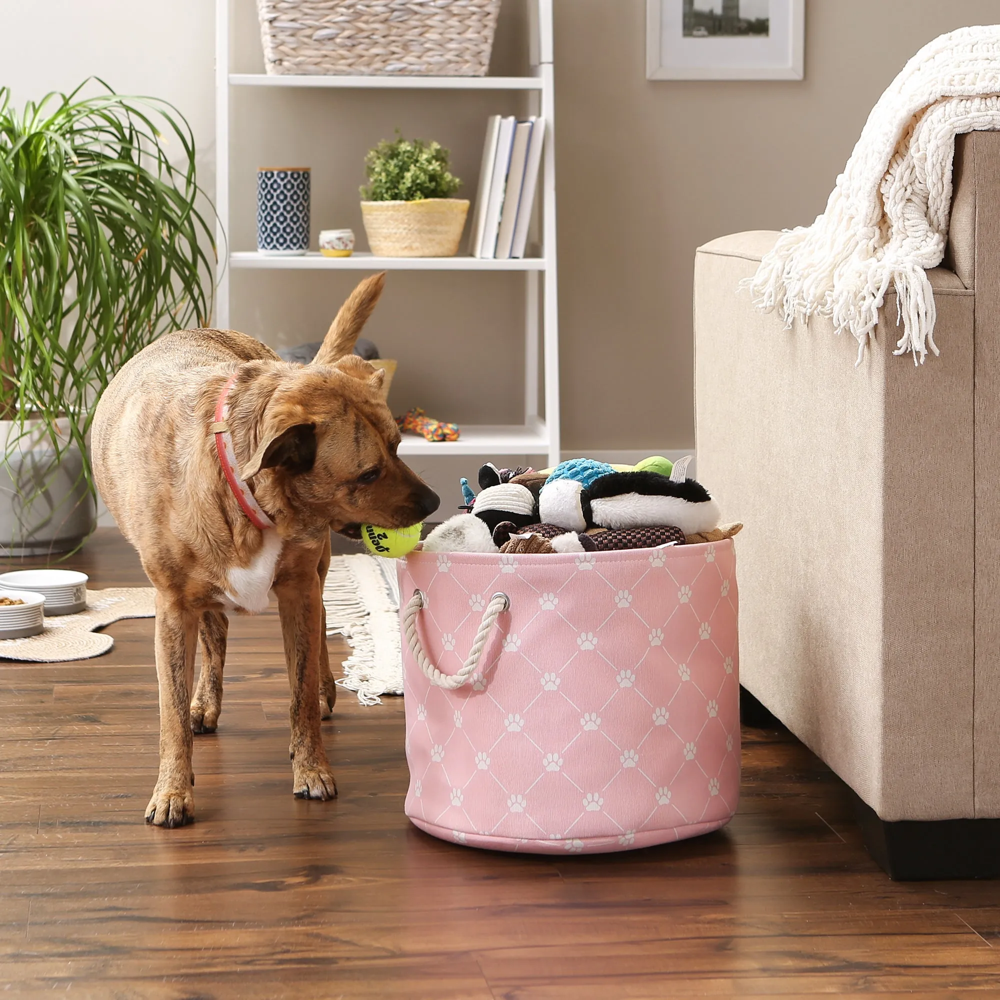 Collapsible Pet Storage Collapsible Bin, Trellis Paw Print, Pink, Medium Round - 15x12"
