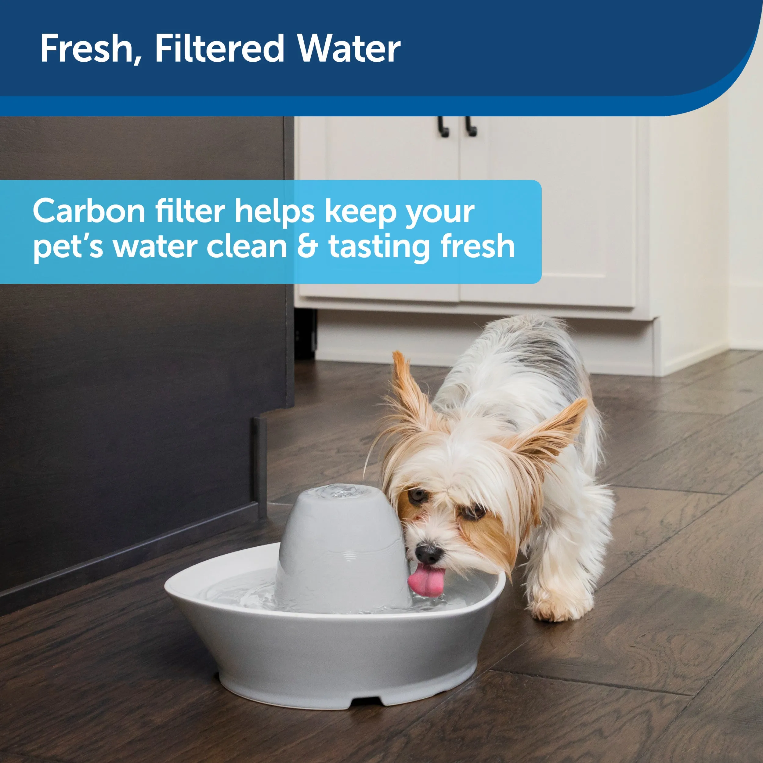 Drinkwell® Avalon & Pagoda Fountain Activated Carbon Filters (12-Pack)