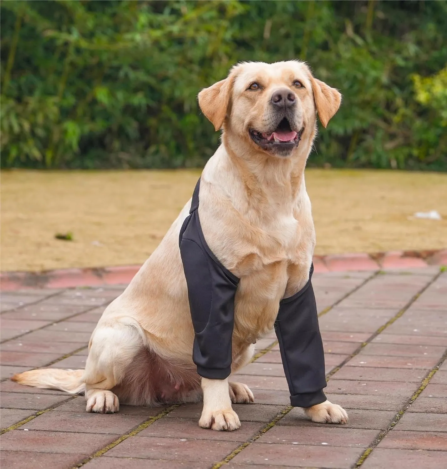 HDKUW Dog Elbow Protector & Recovery Suit - Cone Collar Alternative, Elbow Cover Sleeve for Small to Large Dogs - Black