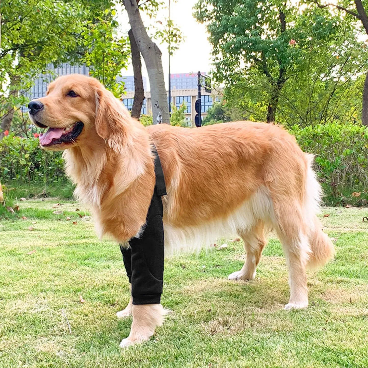 HDKUW Dog Elbow Protector & Recovery Suit - Cone Collar Alternative, Elbow Cover Sleeve for Small to Large Dogs - Black
