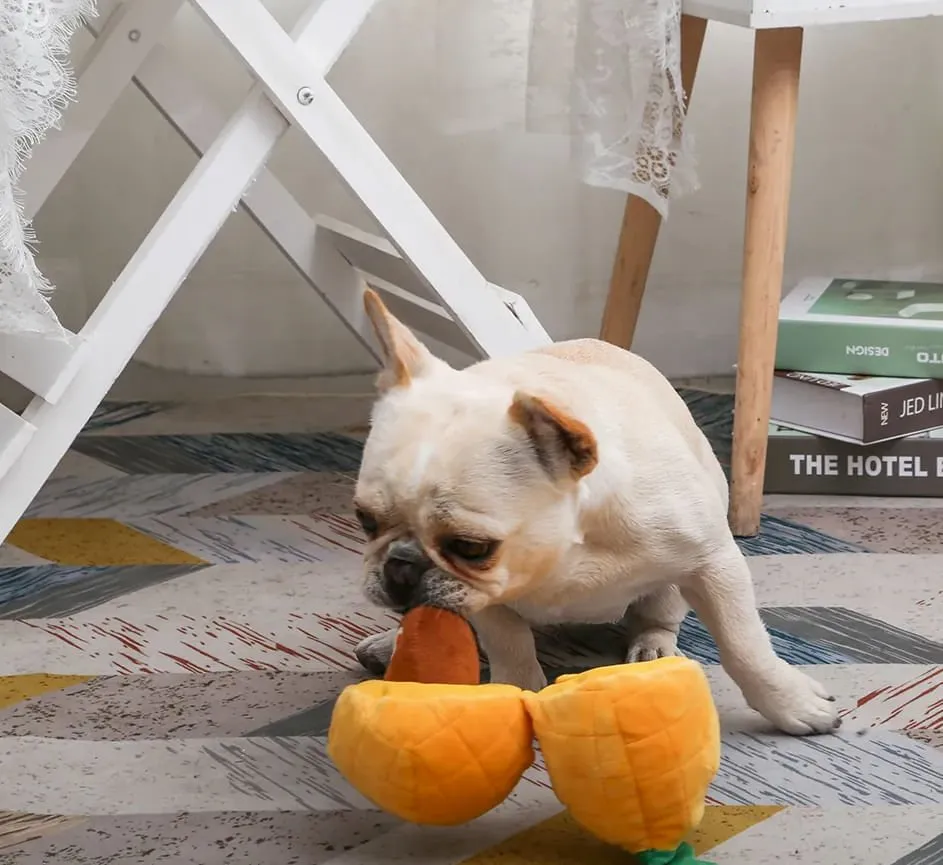 Hugsmart Pineapple Fruity Critterz Squeaker Dog Toy