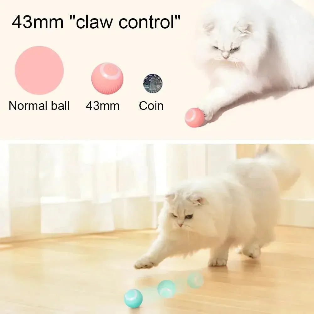 Interactive Self-Moving Kitten Toys