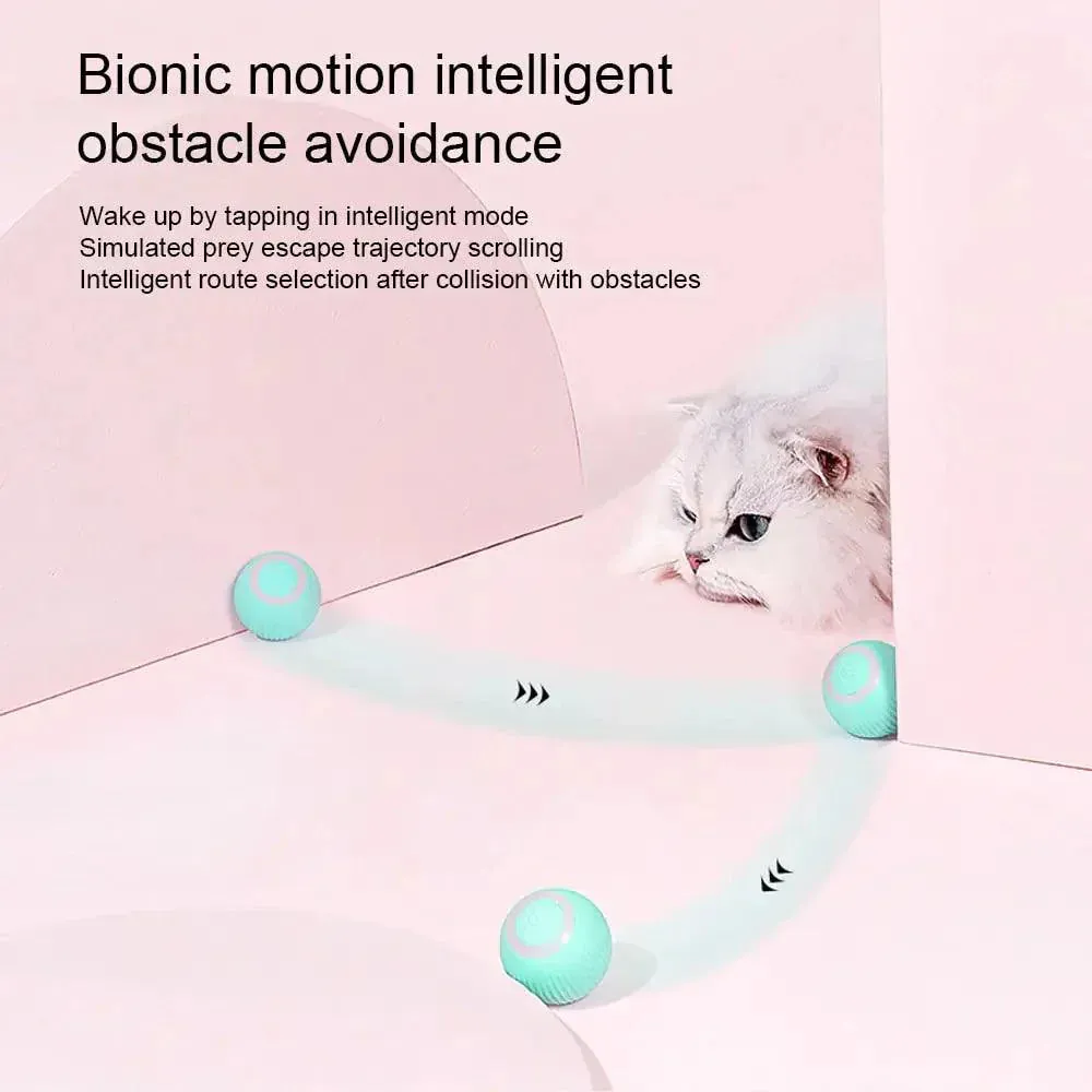 Interactive Self-Moving Kitten Toys