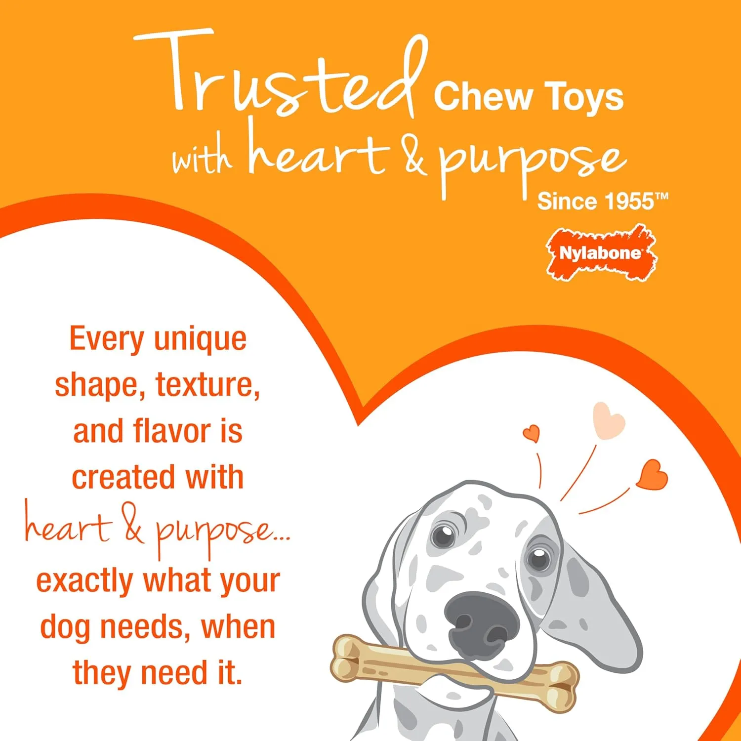 Nylabone Textured Ring Power Chew Toy for Dogs, Dog Toys for Aggressive Chewers, Flavor Medley, Small Dogs - Up to 25 lbs, 1 Count