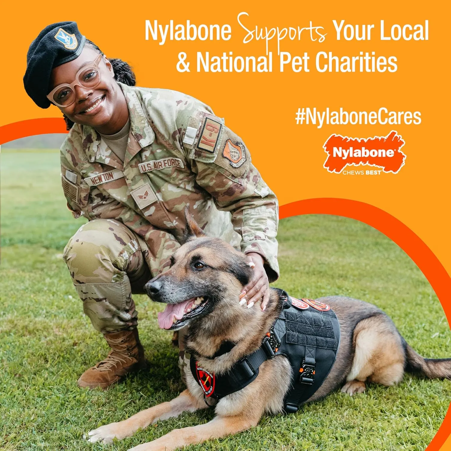 Nylabone Textured Ring Power Chew Toy for Dogs, Dog Toys for Aggressive Chewers, Flavor Medley, Small Dogs - Up to 25 lbs, 1 Count