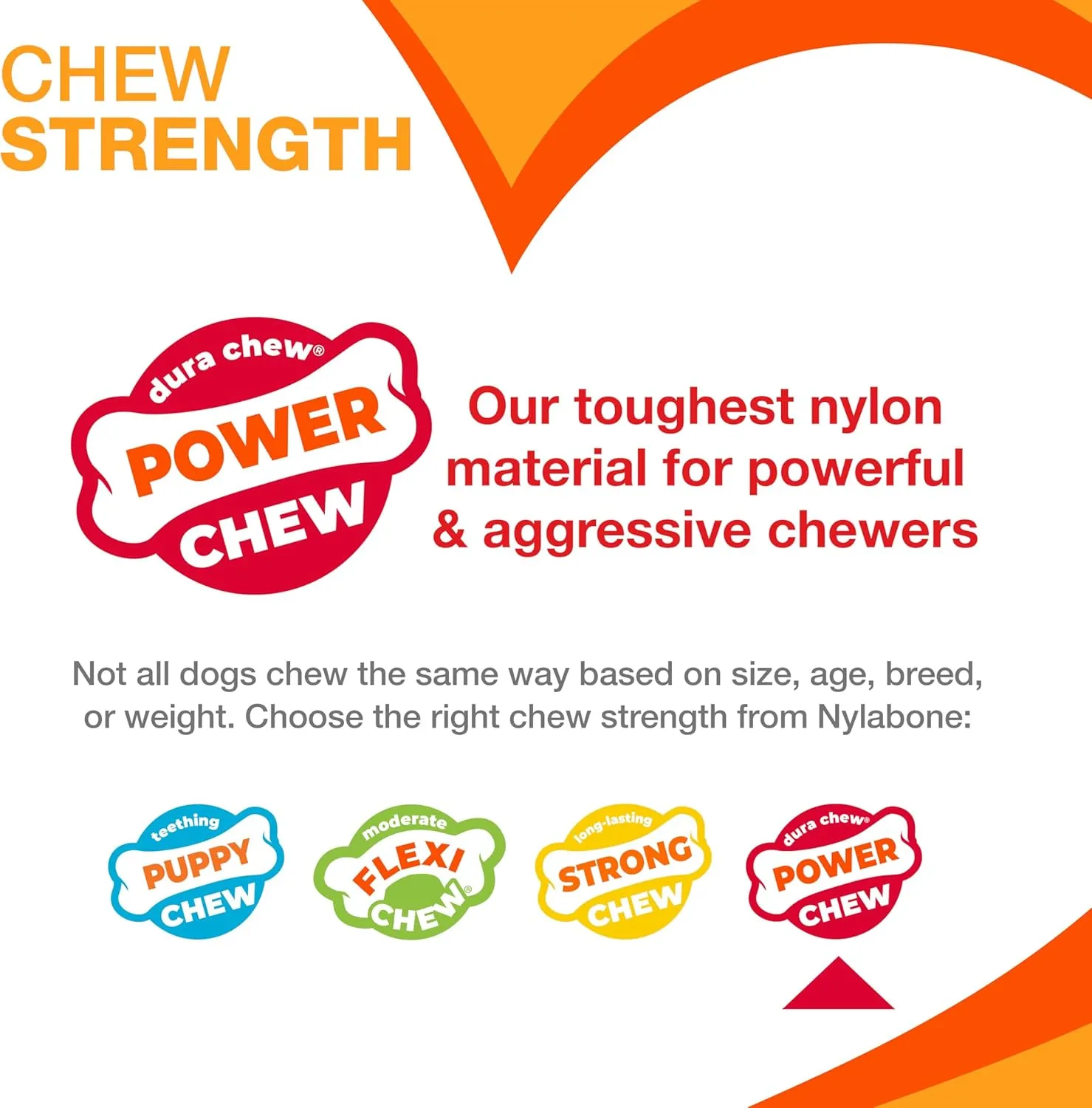 Nylabone Textured Ring Power Chew Toy for Dogs, Dog Toys for Aggressive Chewers, Flavor Medley, Small Dogs - Up to 25 lbs, 1 Count