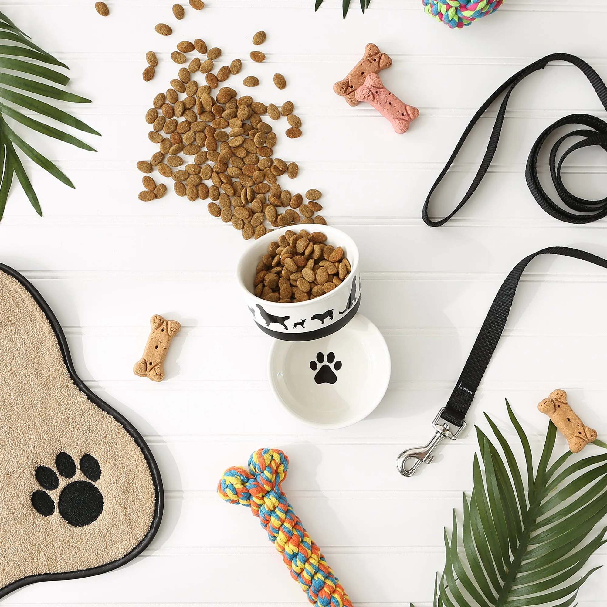 Pet Bowl Dog Show Small 4.25Dx2H Set of 2