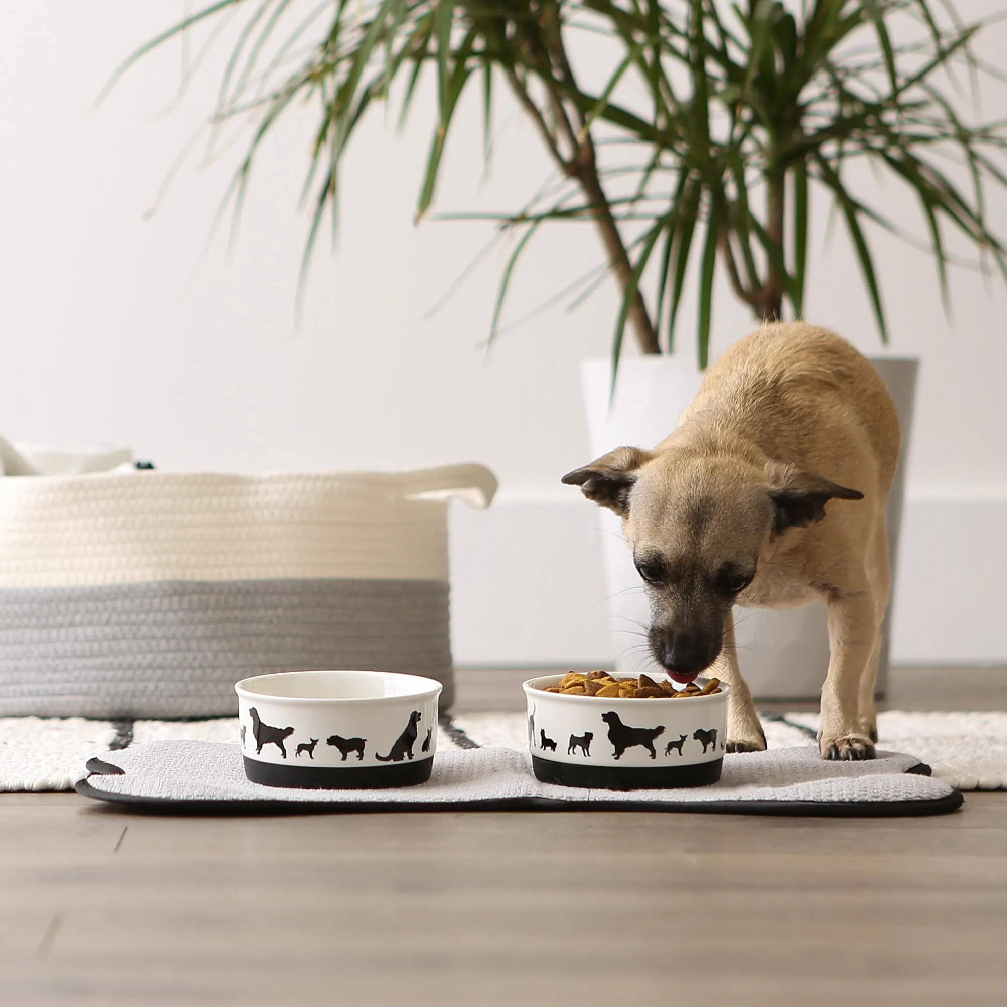 Pet Bowl Dog Show Small 4.25Dx2H Set of 2