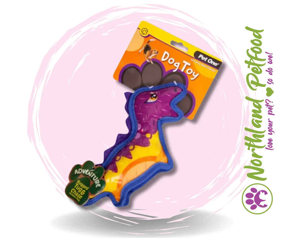 Pet One Adventure Squeaky Dinosaur / Colourful