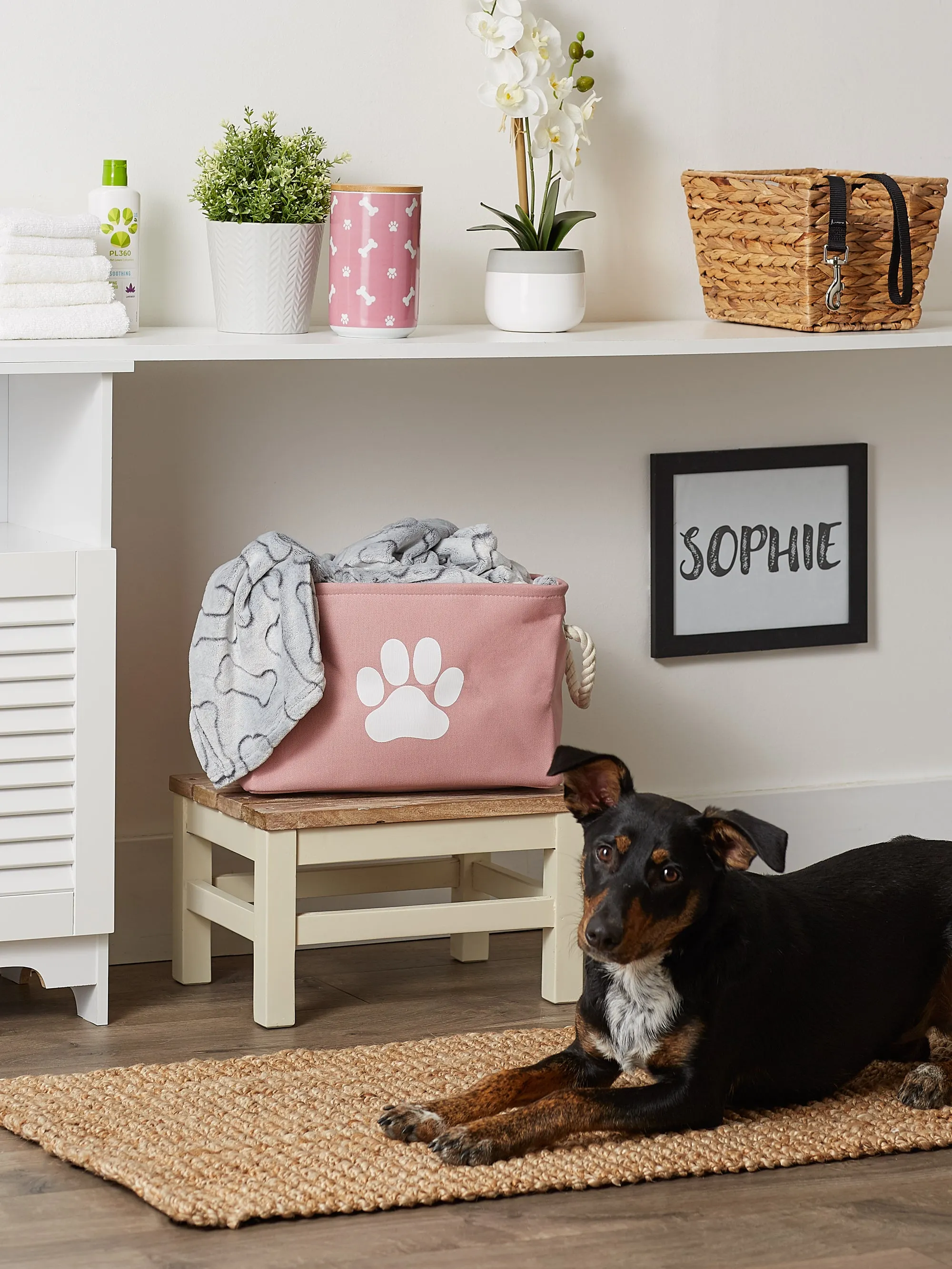 Polyester Pet Bin Paw Rose Rectangle Small 14X8X9