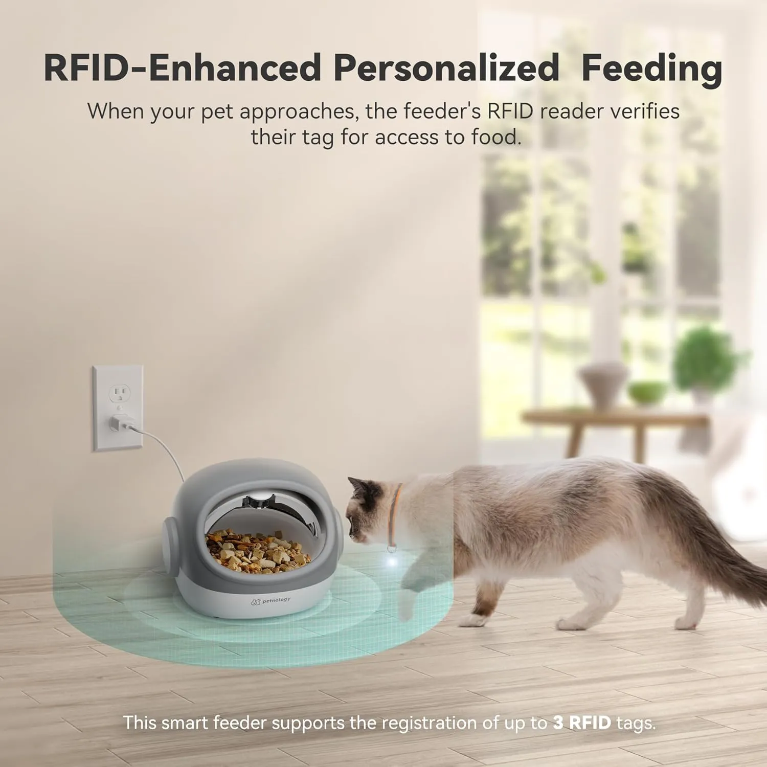 RFID Cat Feeder with Collar Sensor, Timed Auto Pet Feeder for Multi-Cat Households, 4 Feeding Modes, Suitable for Both Wet and Dry Food Gray