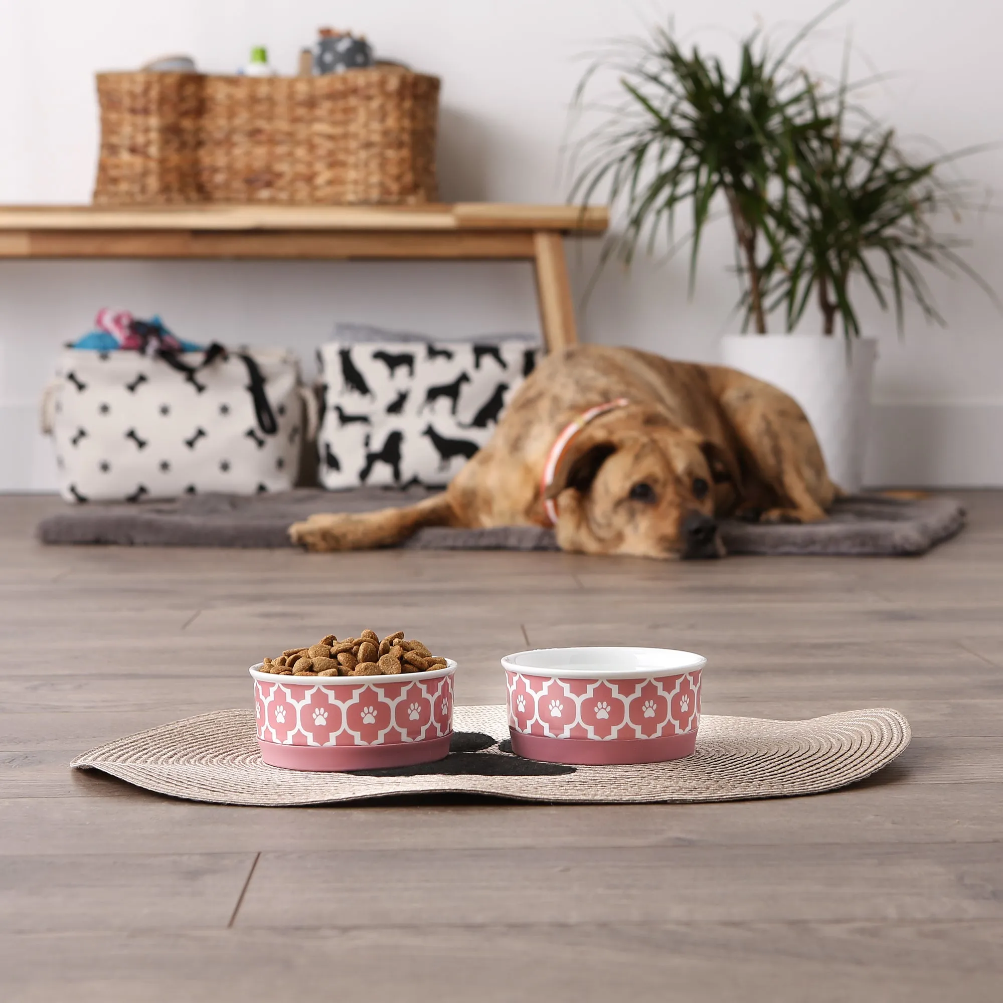 Rose Lattice Paw Print Pet Bowl Set of 2, Small - 3/4 C Capacity