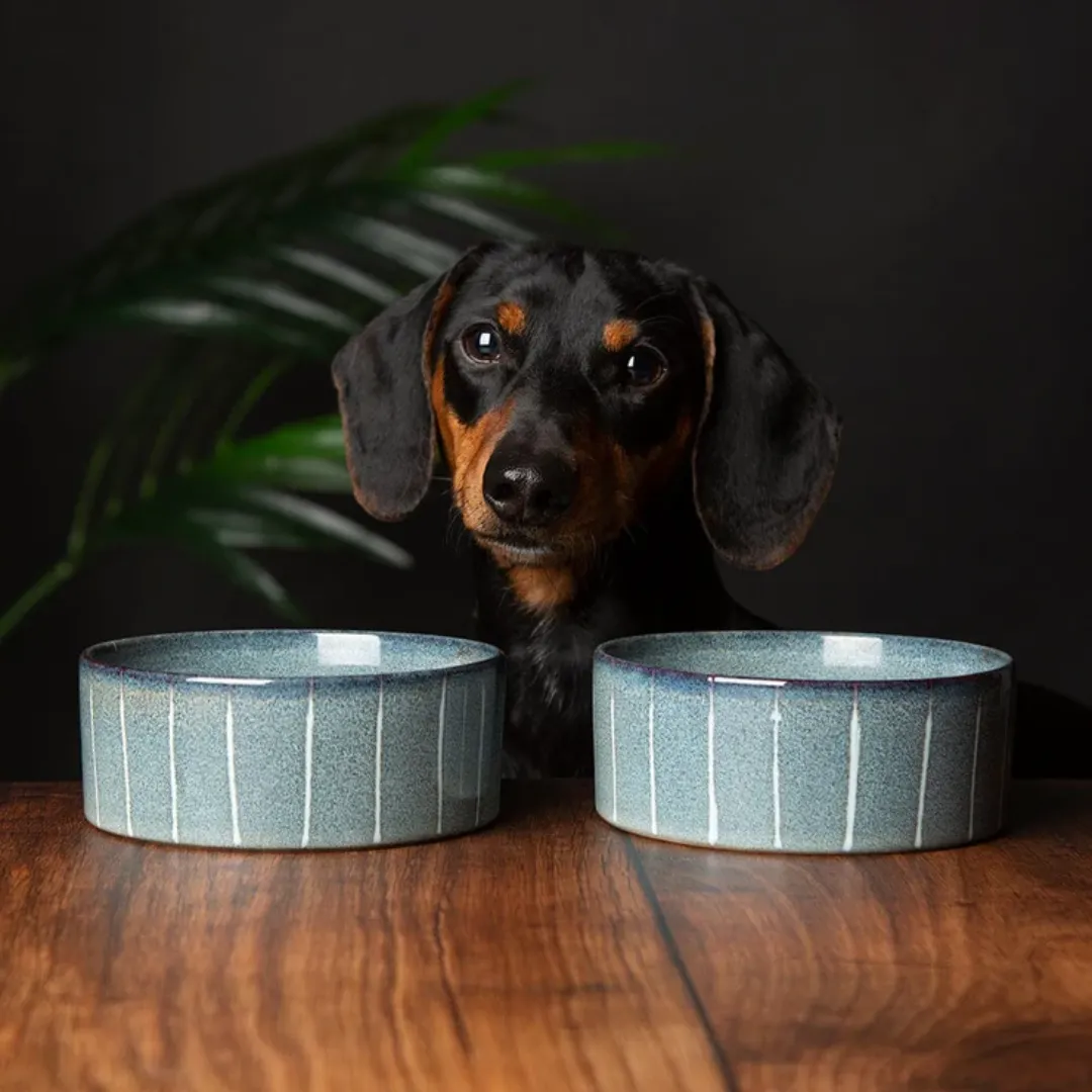 Scruffs Reactive Glaze Pet Bowl - Pinstripe Grey