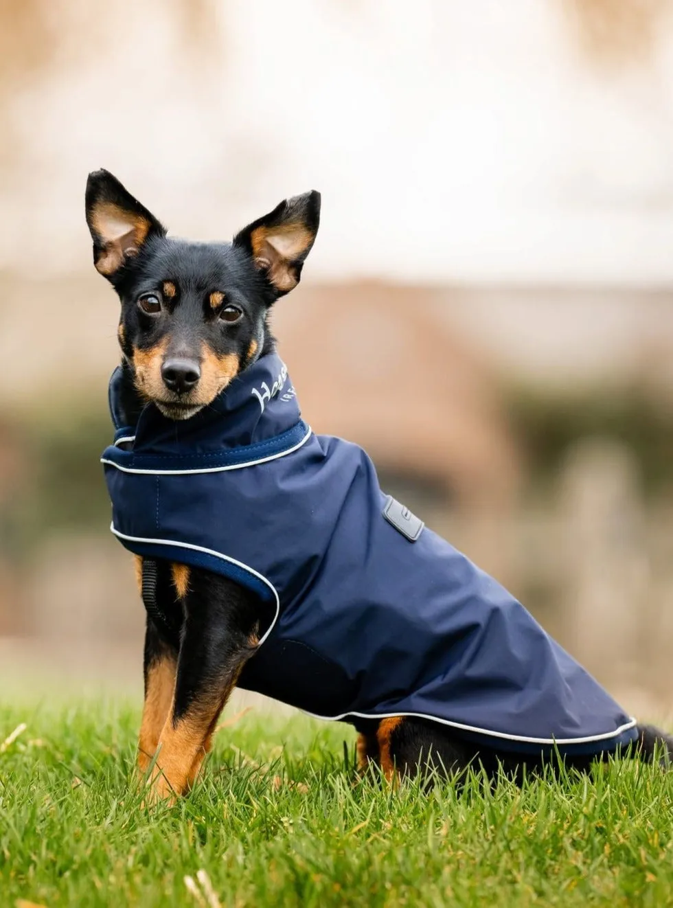 Signature Dog Rain Coat