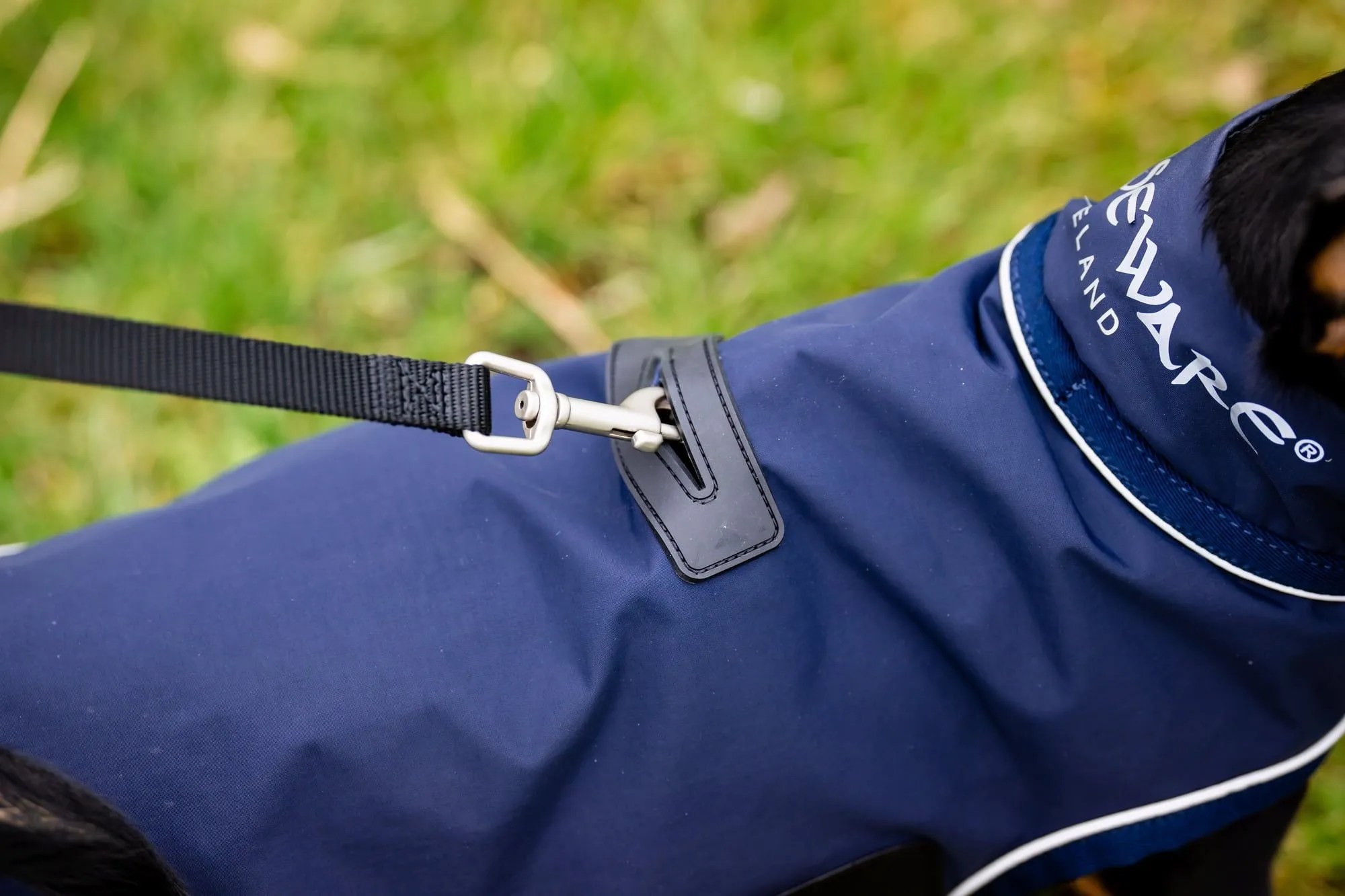 Signature Dog Rain Coat
