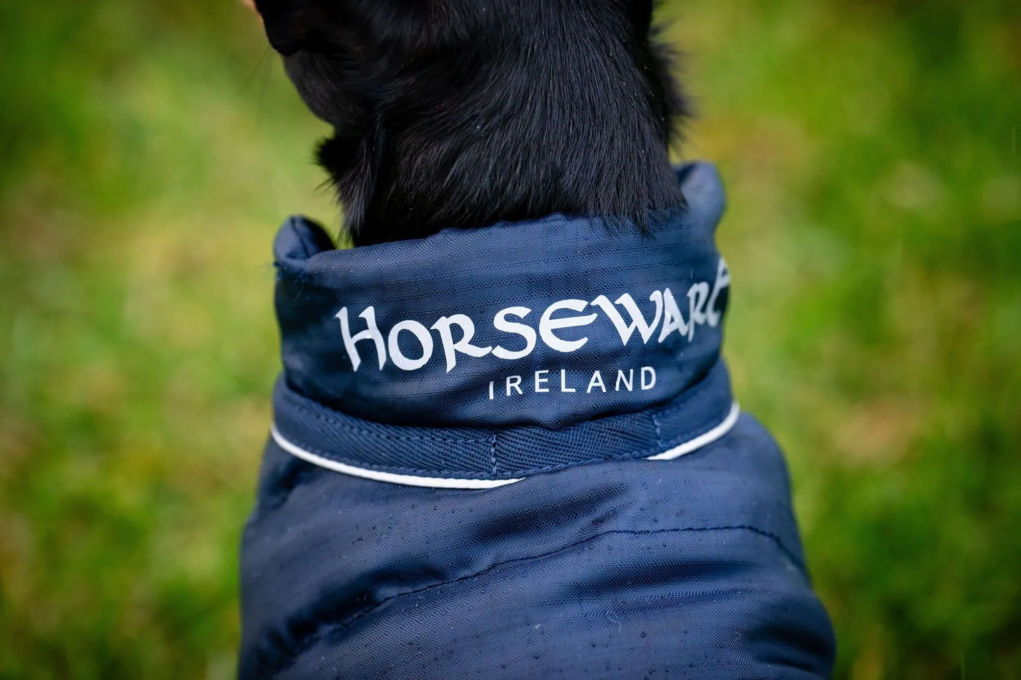 Signature Dog Rain Coat