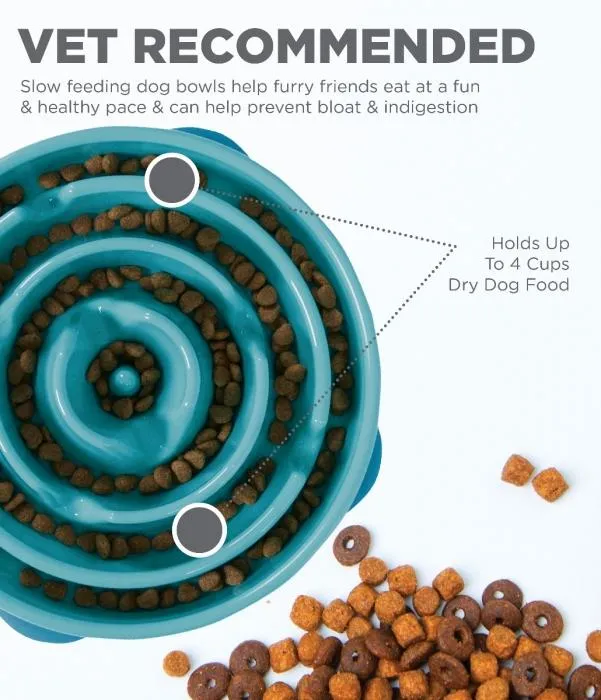 Slow Feeder Dog Bowl - Dog Bowl for Fast Eaters - Outward Hound Fun Feeder Slo-Bowl