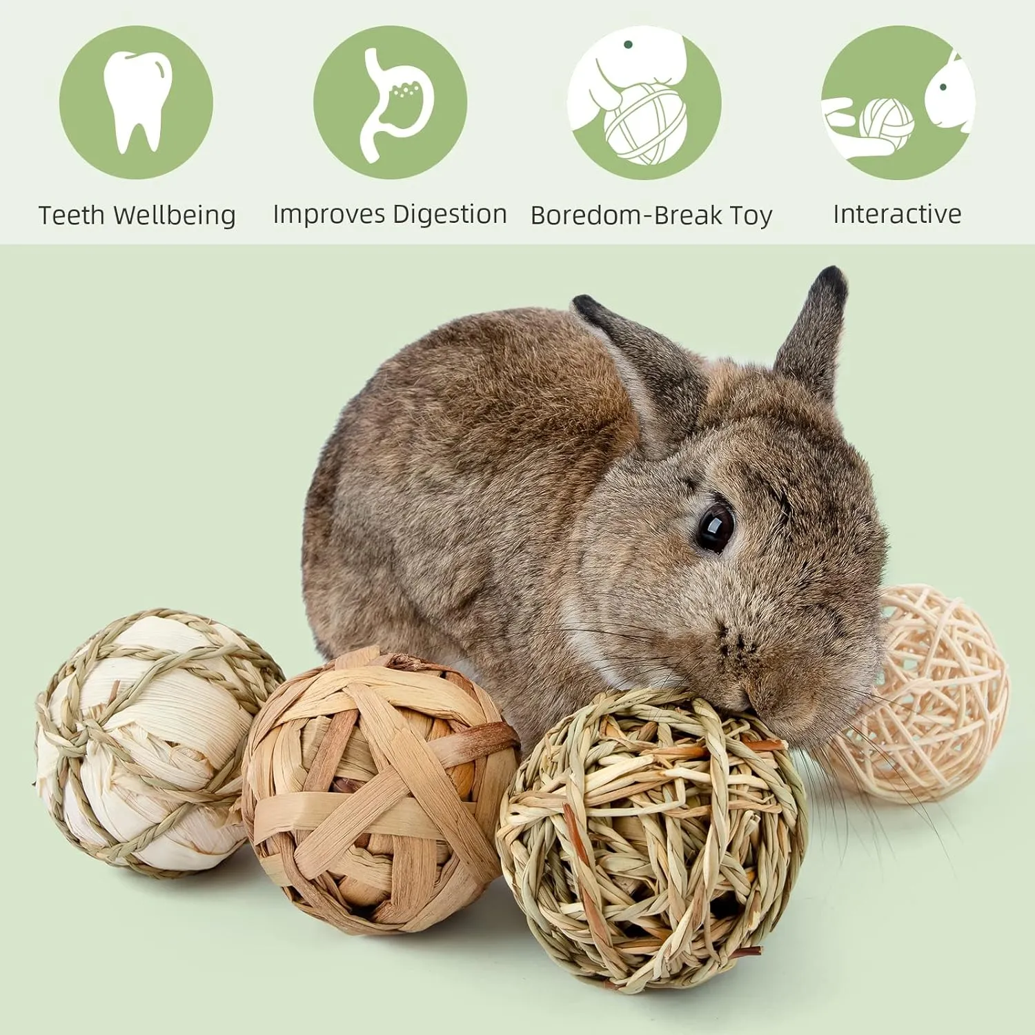 Small Animals Play & Activity Balls Rolling Chew Toys for Rabbits Guinea Pigs Chinchilla