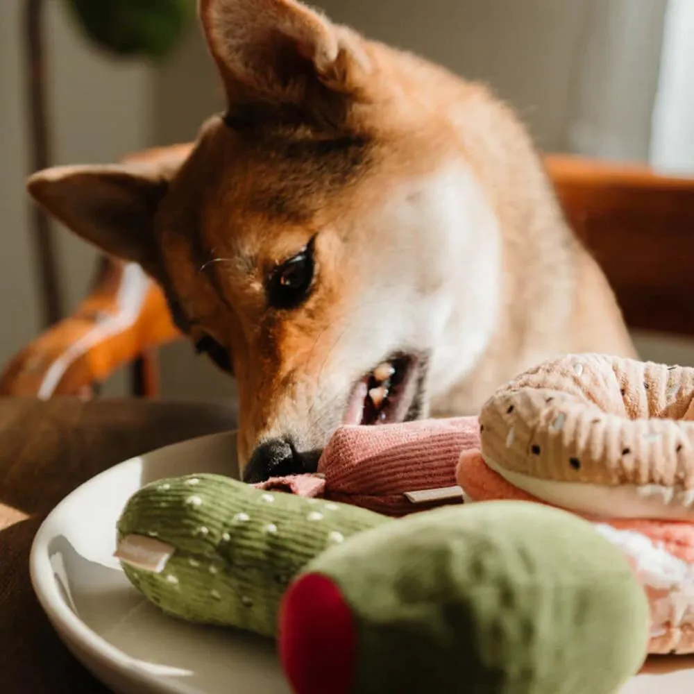 Snuffle Bagel with Pickle Dog Toy