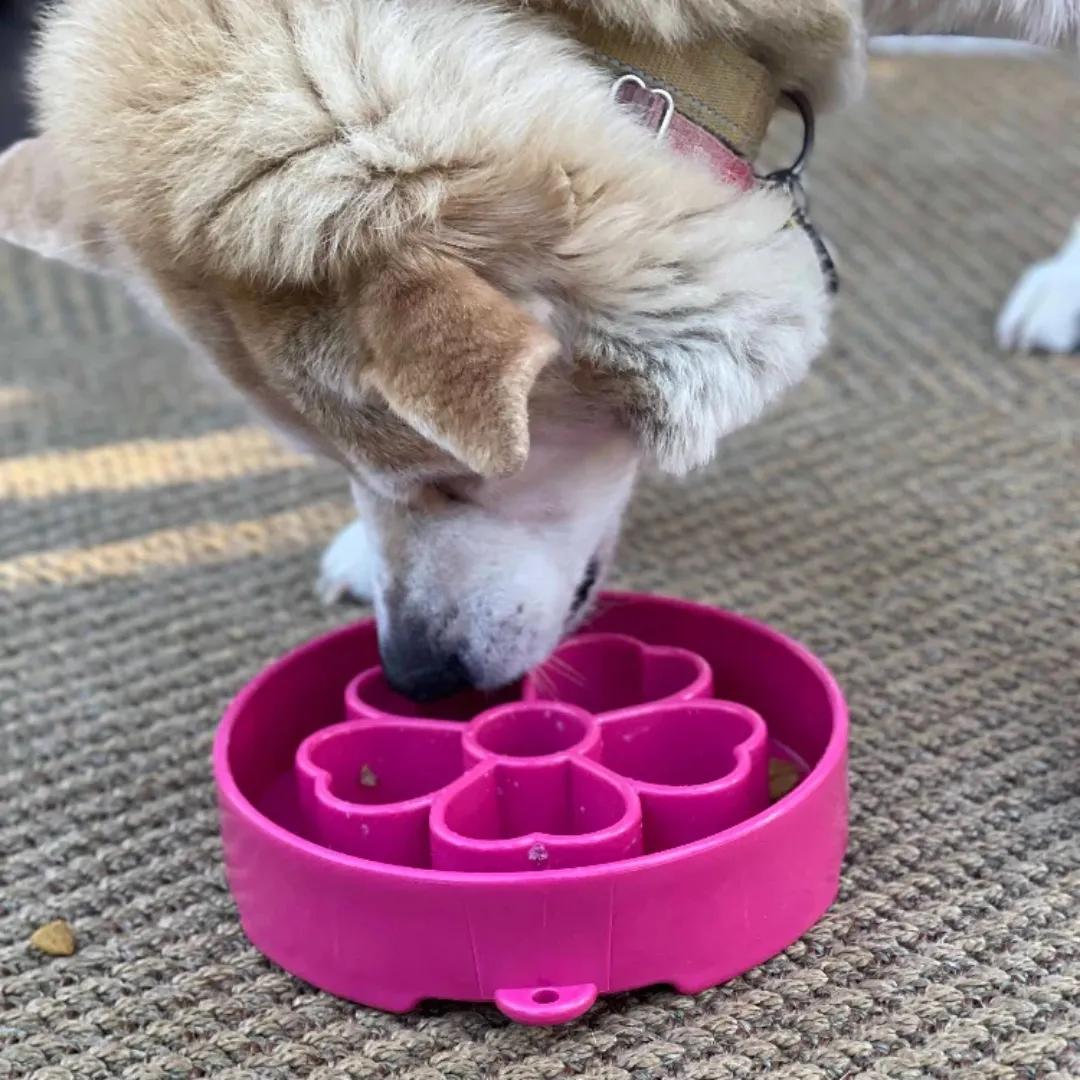 SodaPup Flower eBowl Slow Feeder
