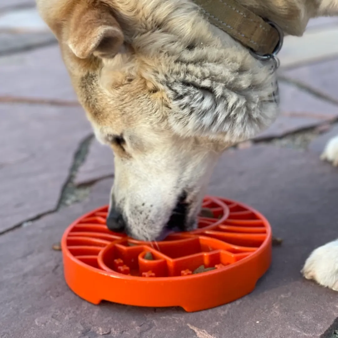 SodaPup Yin Yang Enrichment Tray