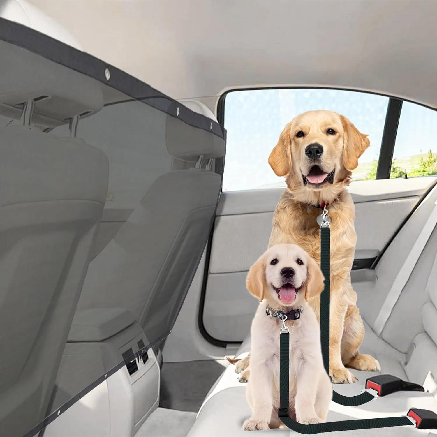 SunGrow Dog Seat Belts with Barrier, 2 Adjustable 28" Nylon Belts, 24" x 45" Micro Mesh Net Divider for Cars, SUVs, and Trucks, 4 Hooks and Luggage Ropes for Assembly, Black, 1 Set per Pack