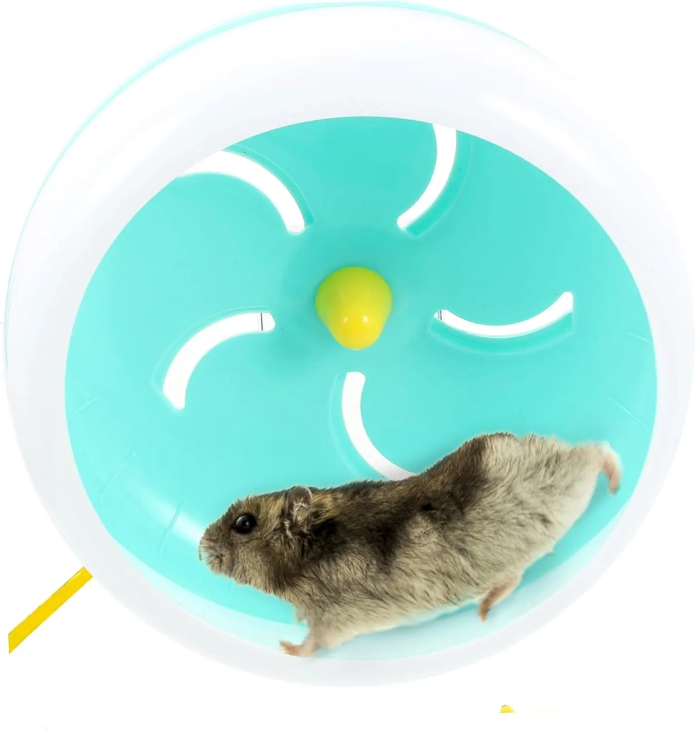 SUPVOX Small Pet Running Wheel Hamster Running Small Hamster Wheel Hamster Wheel 8 Inch Hedgehog Wheel Silent Hamster Wheel Hamster Wheels Hamster Balls for Hamsters Runner Mute