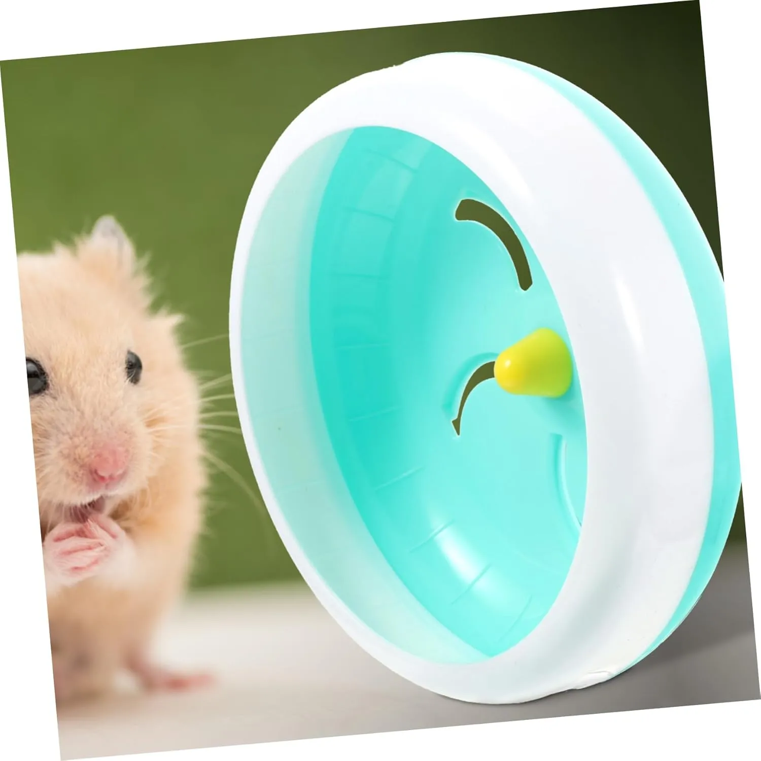 SUPVOX Small Pet Running Wheel Hamster Running Small Hamster Wheel Hamster Wheel 8 Inch Hedgehog Wheel Silent Hamster Wheel Hamster Wheels Hamster Balls for Hamsters Runner Mute