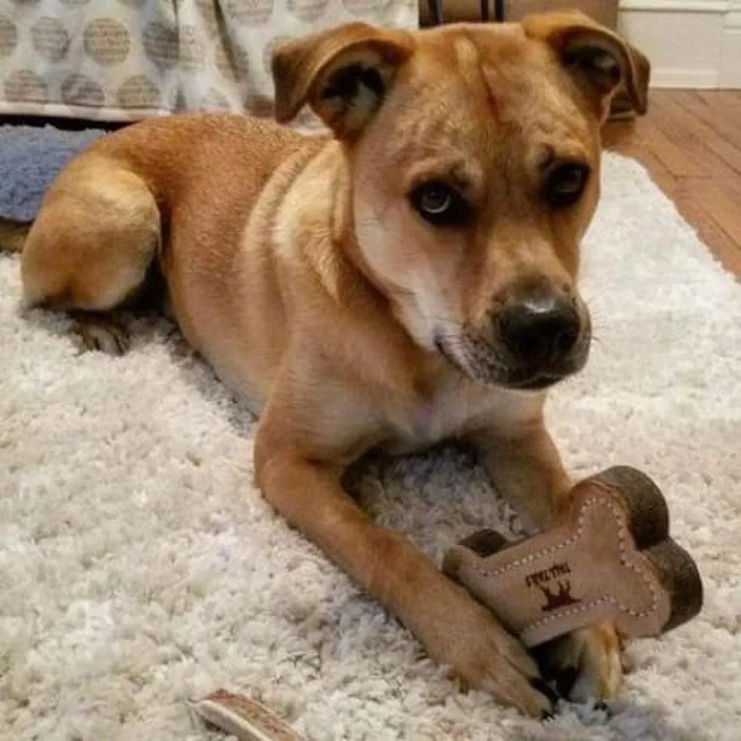 Tall Tails Wool Bone Toy
