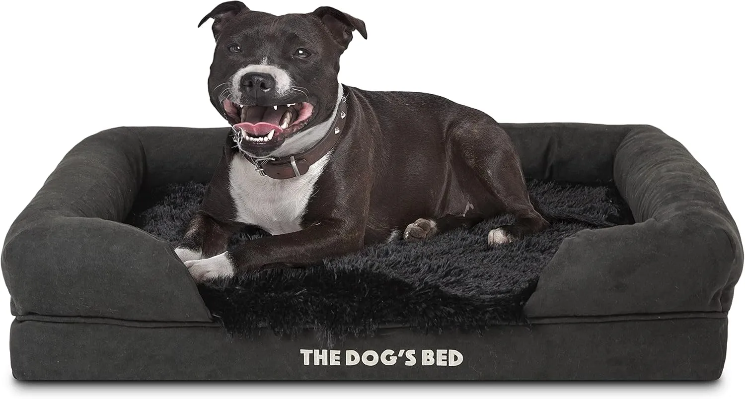 The Dog's Bed, 30x23.5,,:,,,,,,, 