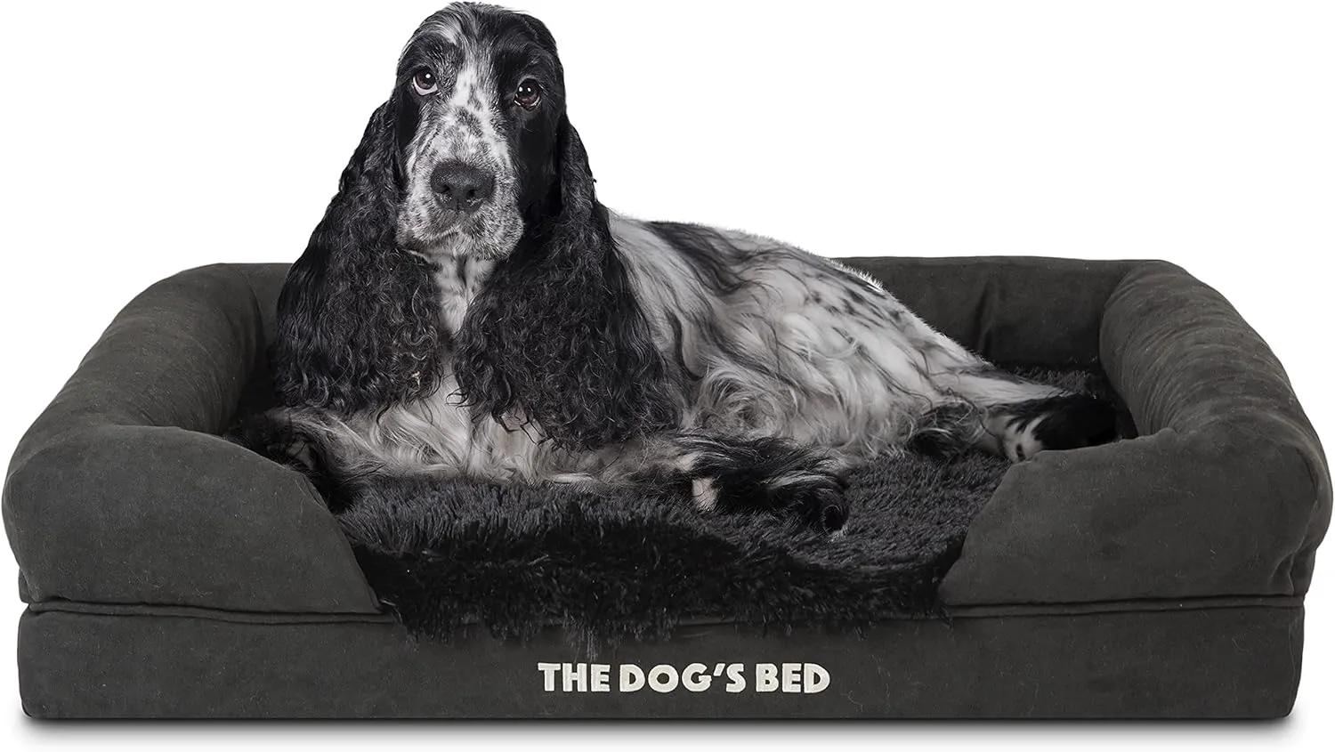 The Dog's Bed, 30x23.5,,:,,,,,,, 