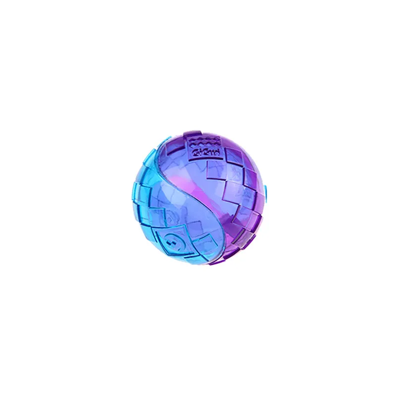 Transparent Squeaky Dog Ball Toy