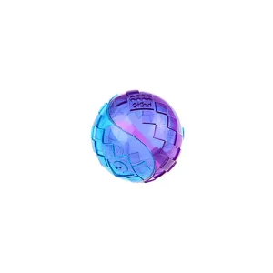 Transparent Squeaky Dog Ball Toy