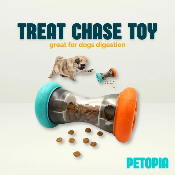 Treat Dispensing Interactive Chase Dog Toy
